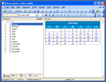MyInfo diary/calendar for 2011