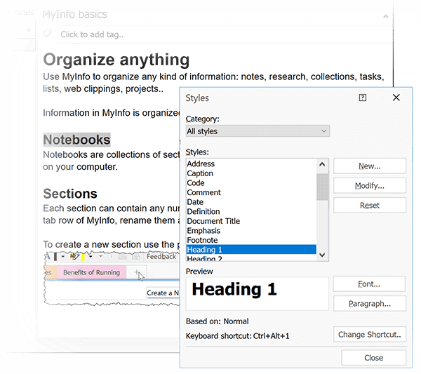 MyInfo text editor with Styles dialog