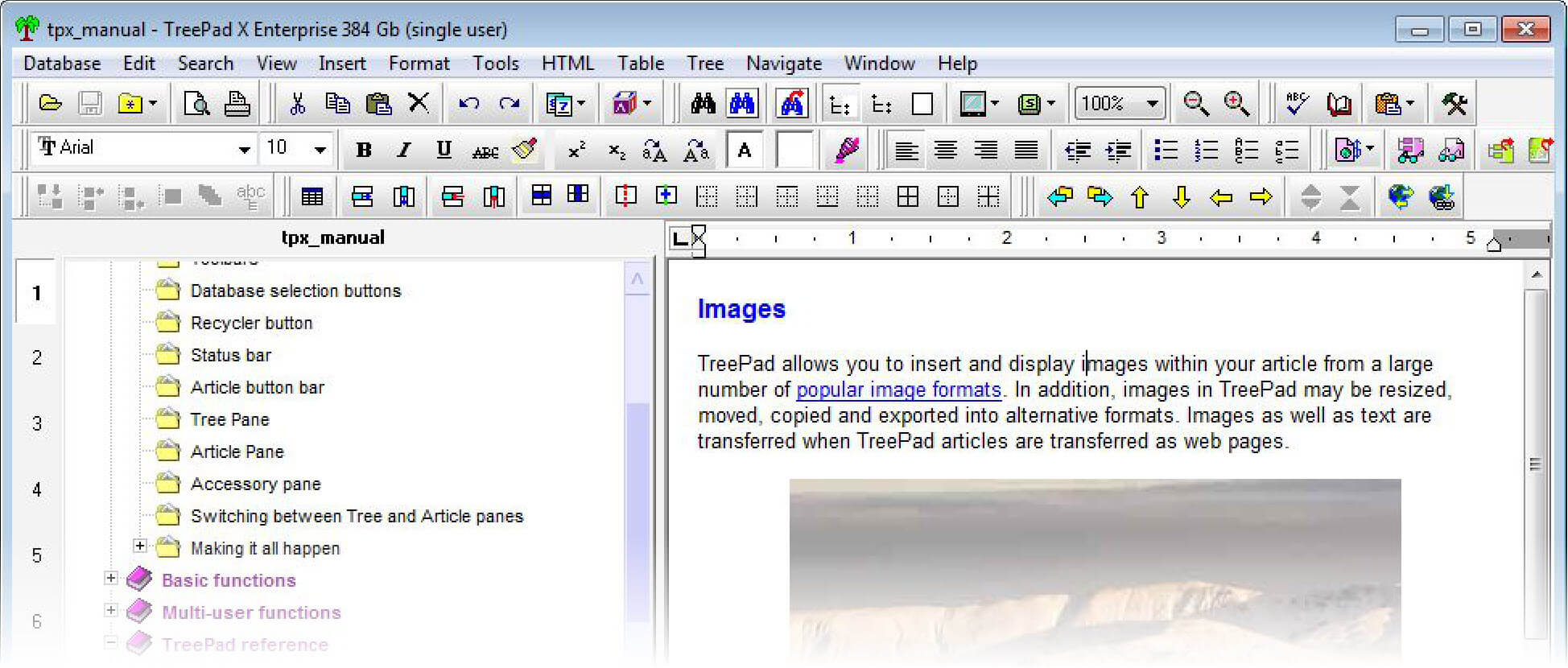 Screenshot of the now defunct TreePad personal information manager